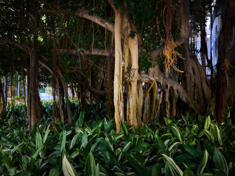 Movenpick Resort Antalya Tekirova