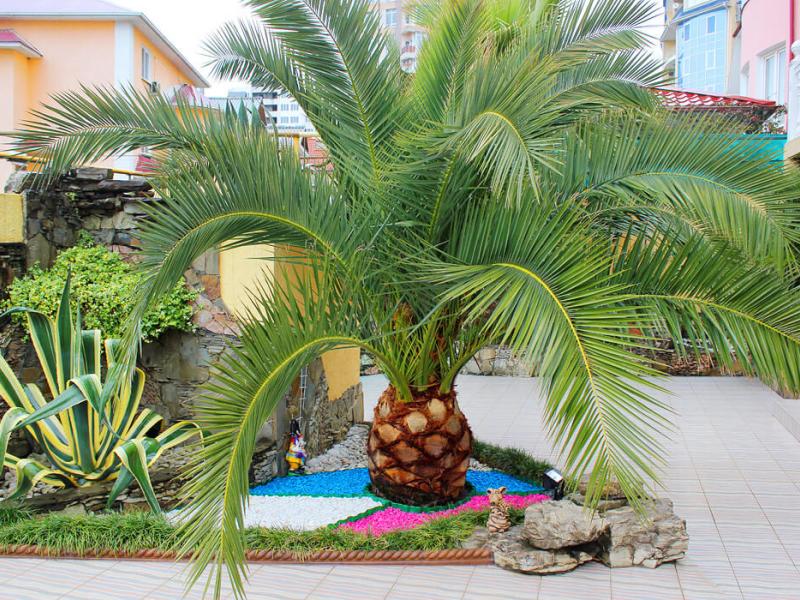 Санта-Барбара