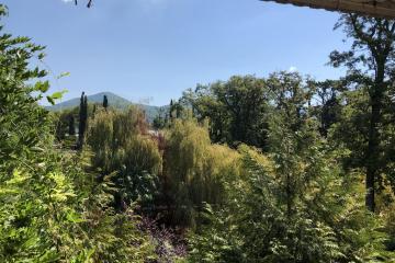 Отель Лад Россия, Лазаревское, фото 24