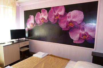 Отель Гостевой дом АрЛиан Россия, Лазаревское, фото 7