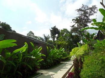 Senetan Villas & Spa Resort