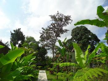 Senetan Villas & Spa Resort