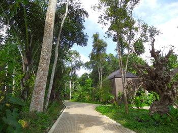 Senetan Villas & Spa Resort