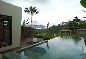 Отель Senetan Villas & Spa Resort Индонезия, о Бали, фото 83