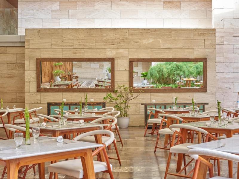 The Yucatan Playa del Carmen