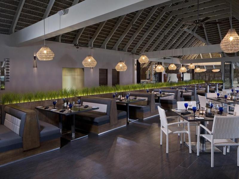 The Level at Melia Caribe Tropical