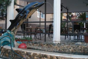 Отель Скиф Дельфиния Россия, Николаевка, фото 4