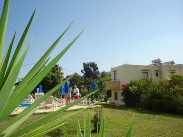 Anemos Studios