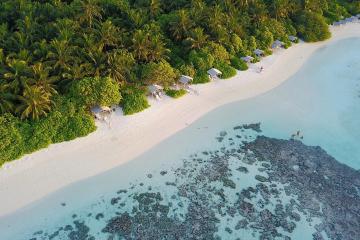 Отель Plumeria Maldives Мальдивы, Гаафу Даалу Атолл, фото 4