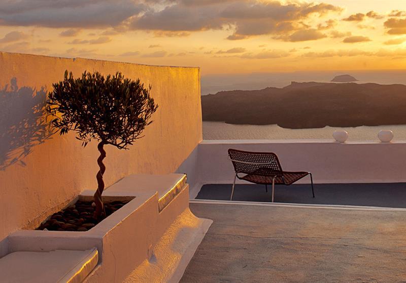 Cosmopolitan Suites