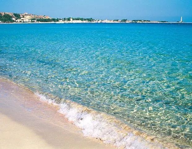 Mare Monti