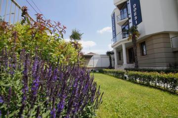 Отель Hotel Doesi Грузия, Тбилиси, фото 5