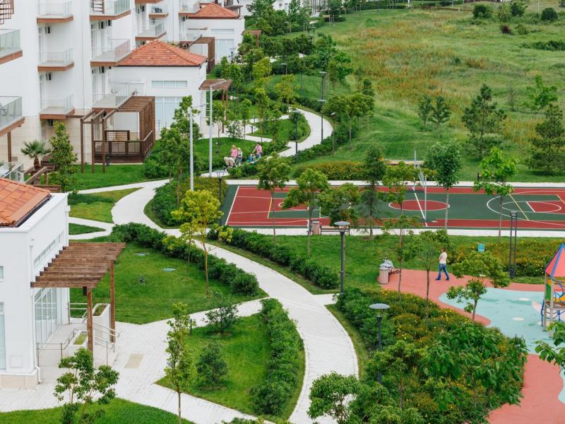 Альфа Сириус Заповедный квартал