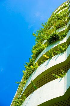 Yellow Ribbon Hills Boutique Suites