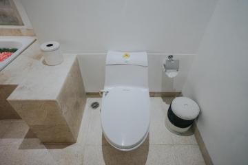 Отель Alam Bidadari Seminyak Villas Индонезия, Кута, фото 7