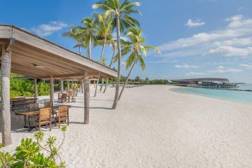 Отель The St. Regis Maldives Vommuli Resort Мальдивы, Даалу Атолл, фото 8