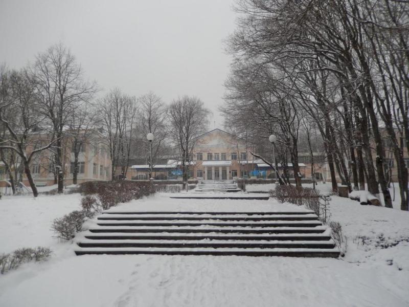 Салют