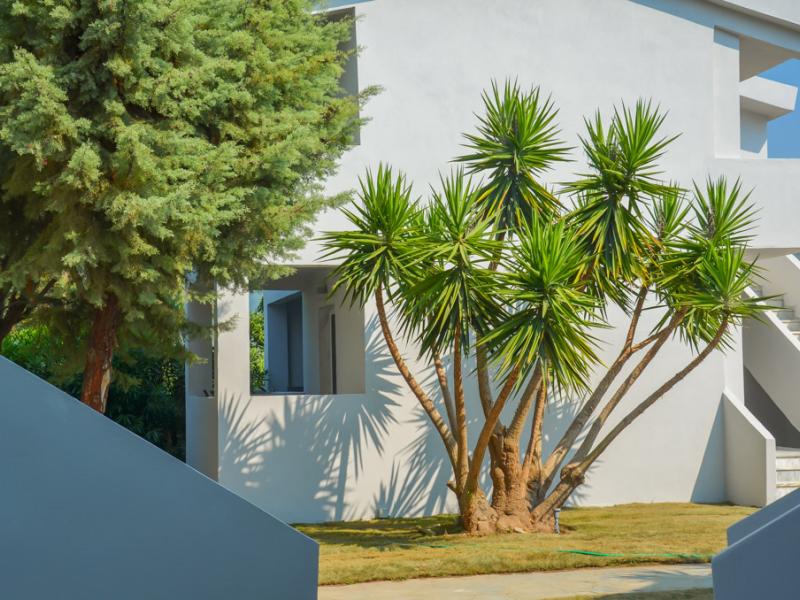 Princess Calypso Hotel