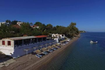 Отель Taradella Hotel Греция, Пелопоннес, фото 6