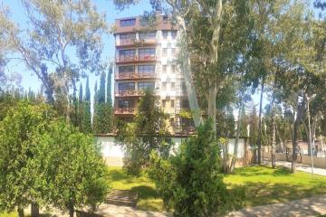 Отель Spa Hotel Napra Абхазия, Гагра, фото 27