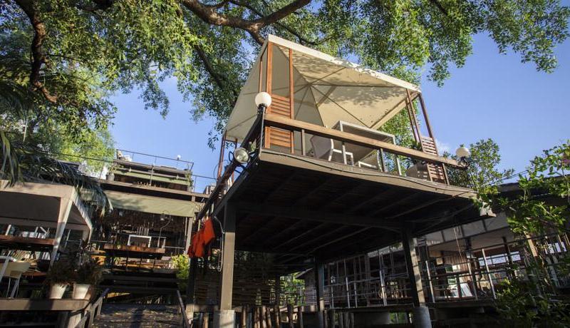 Bangkok Tree House