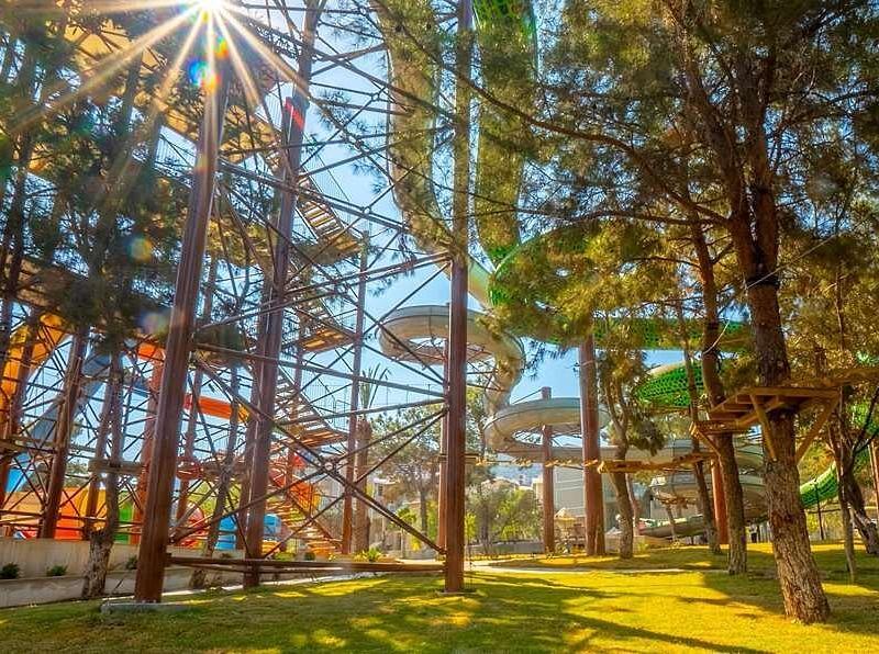 Long Beach Club Nature