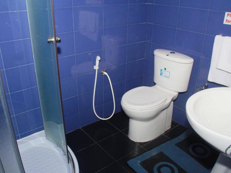 Blue Elephant - Tourist Guest House