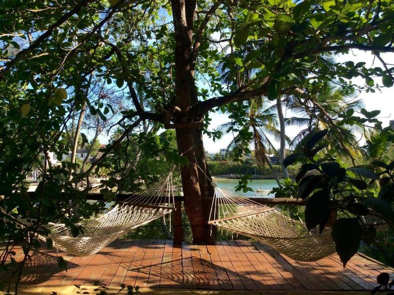 Mangrove Lodge