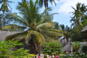 Отель Royal Mandarin Hotel And Resort Танзания, о Занзибар, фото 23