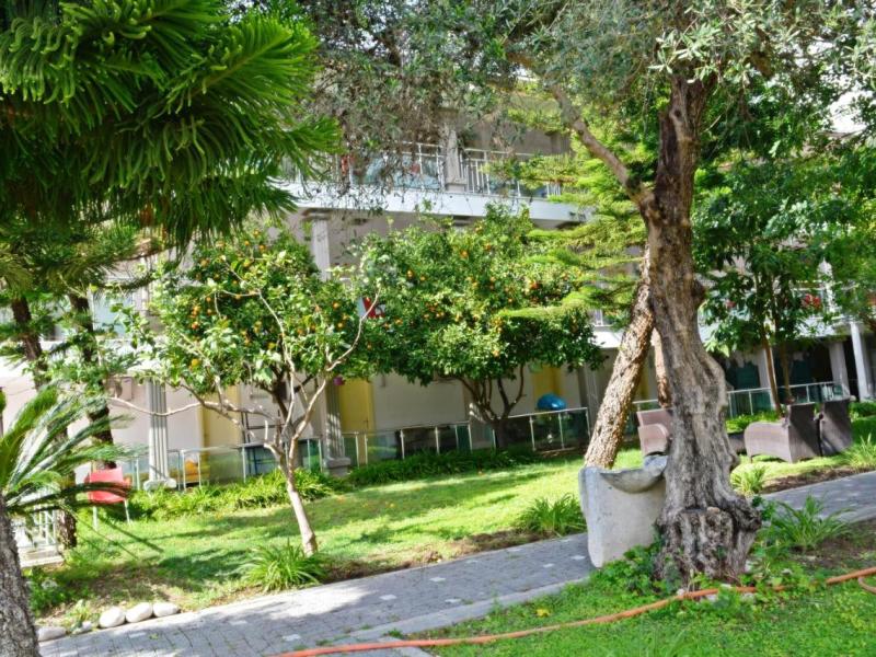 Clover Magic Nova Beach