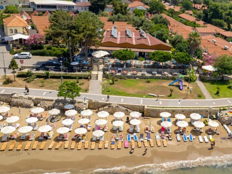 Clover Magic Nova Beach