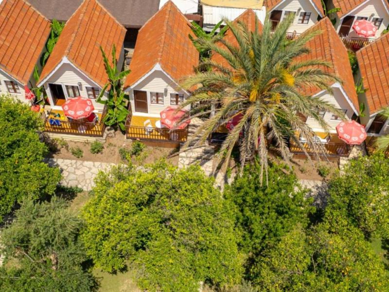 Clover Magic Nova Beach