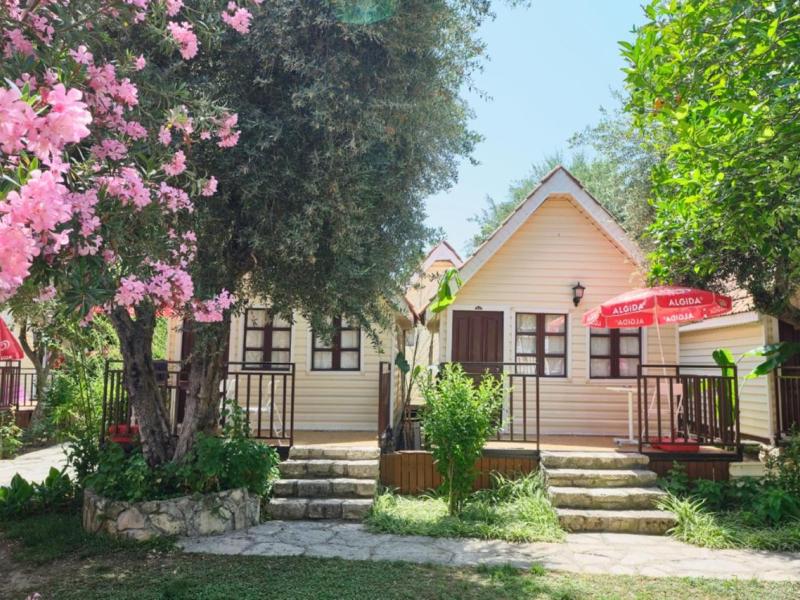 Clover Magic Nova Beach