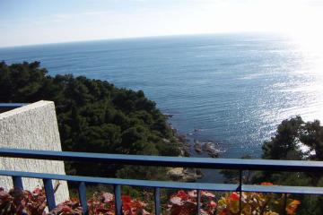 Отель Albatros Черногория, Ульцинь, фото 5