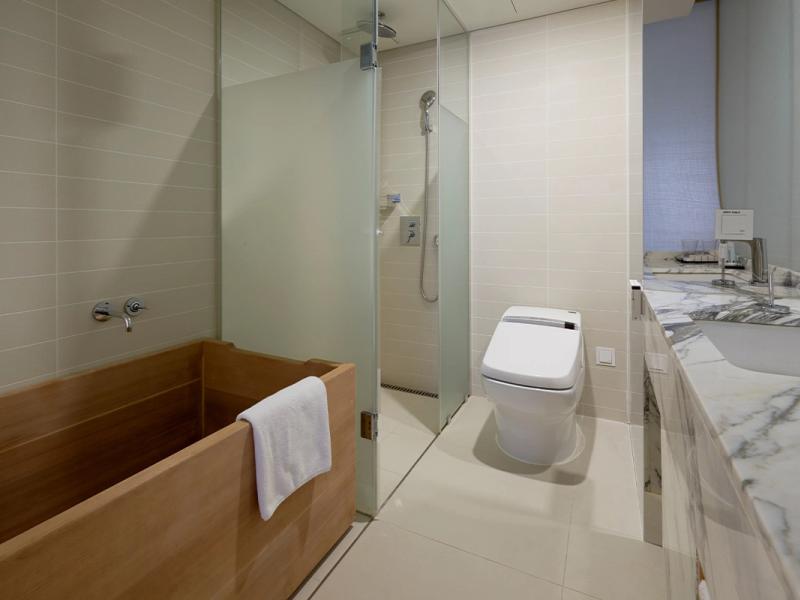 Sotetsu Hotels The Splaisir Seoul Myeongdong