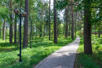 Отель Парус Санаторий Россия, Бердск, фото 5