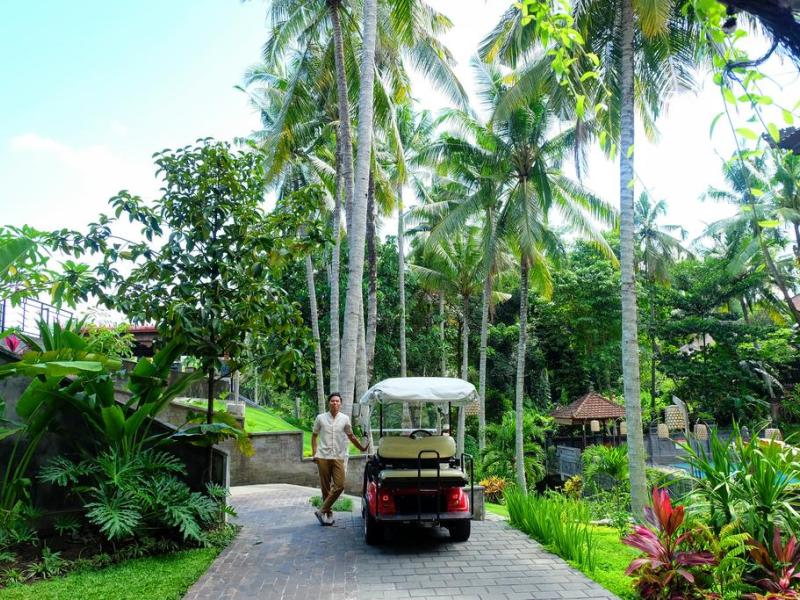 The Artini Dijiwa Ubud