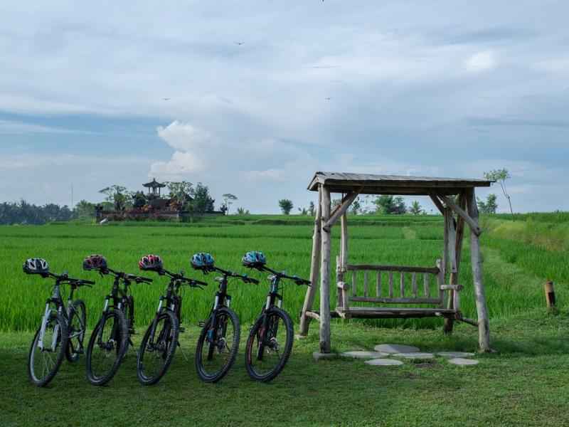 Visesa Ubud Resort Bali