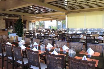 Отель Creta Palm Resort Hotel & Apartments Греция, о. Крит-Ханья, фото 14