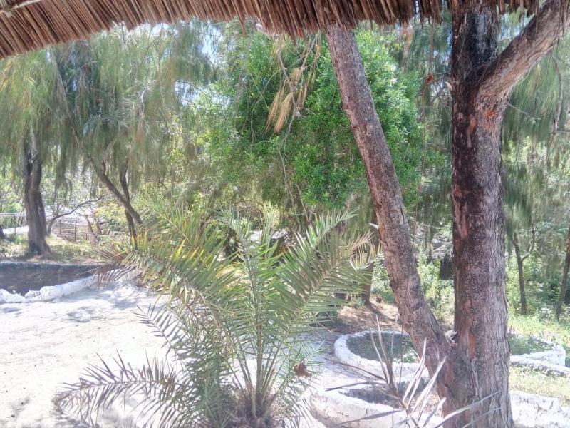 Twisted Palms Lodge & Restaurant