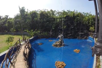 Отель Dhammika Magic Palace Шри-Ланка, Ваддува, фото 6