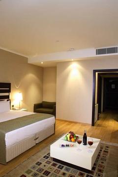 Отель Liv City Hotels Турция, Стамбул, фото 4