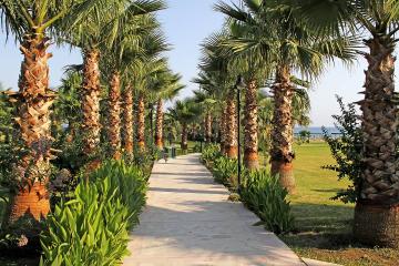Отель Royal Atlantis Beach Hotel Турция, Чолаклы, фото 16