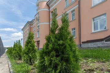 Отель AvetPark  Россия, Санкт-Петербург, фото 10