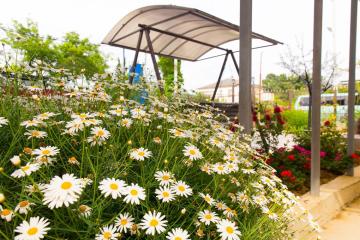 Отель Кристалл (Гечрипш) Абхазия, Гагра, фото 10