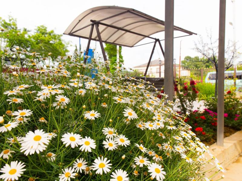 Кристалл (Гечрипш)