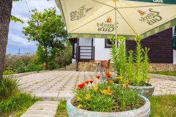 Отель Цитрус (ул. Октябрьская) Абхазия, Гагра, фото 8