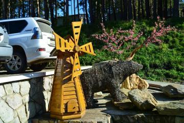 Отель Россия Россия, Белокуриха, фото 7