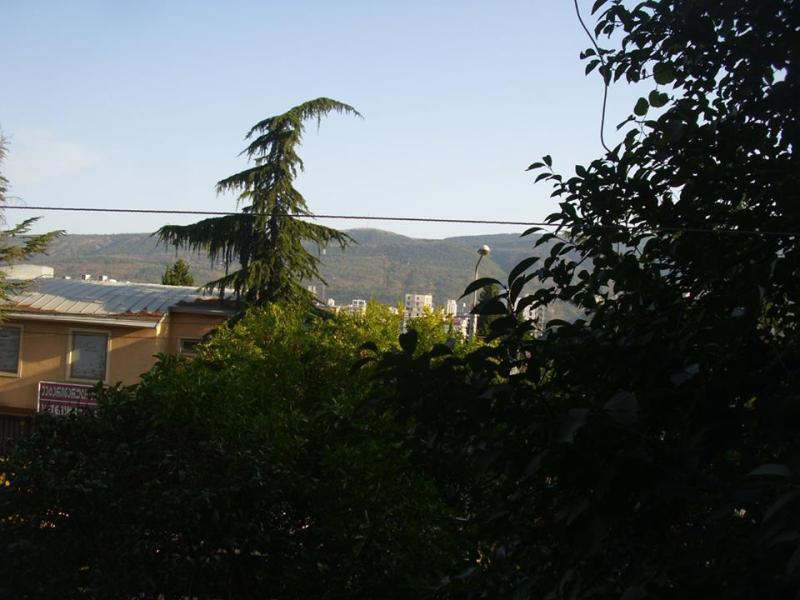 Nita Hotel