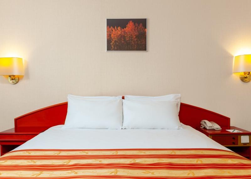 Holiday Inn Moscow Vinogradovo